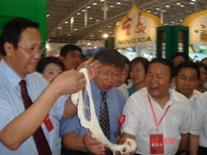 國家扶貧辦主任范曉劍、農業(yè)部王副部長參觀學員實習作品.jpg